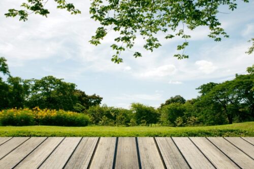 terrasse en bois